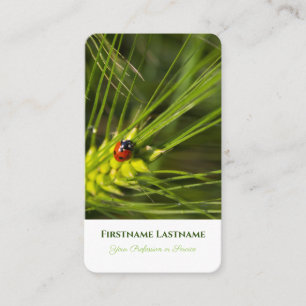Carte De Visite Bonne chance ladybug coaching en santé mentale pos