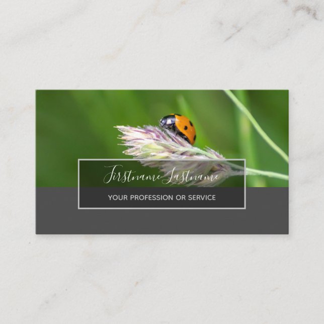 Carte De Visite Bonne chance ladybugs pointillés élégant rectangle (Devant)
