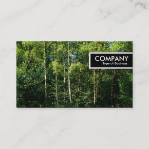 Carte De Visite Bordure - Arbres bouleau argenté