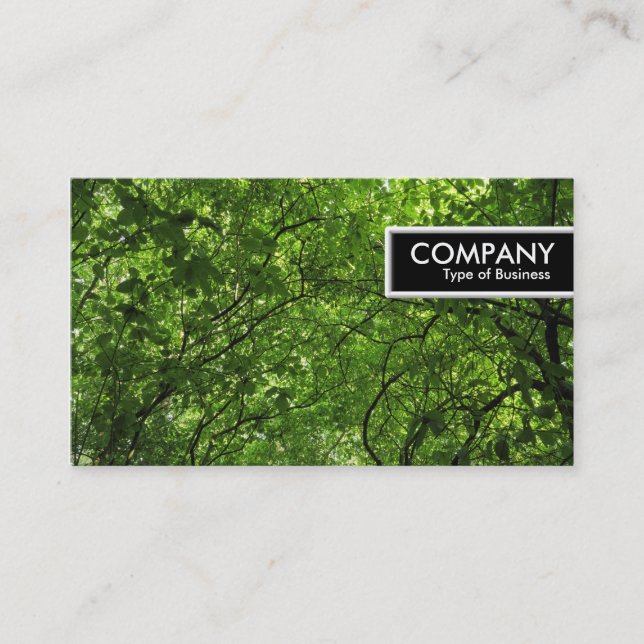 Carte De Visite Bordure - Canopée de la forêt (Devant)