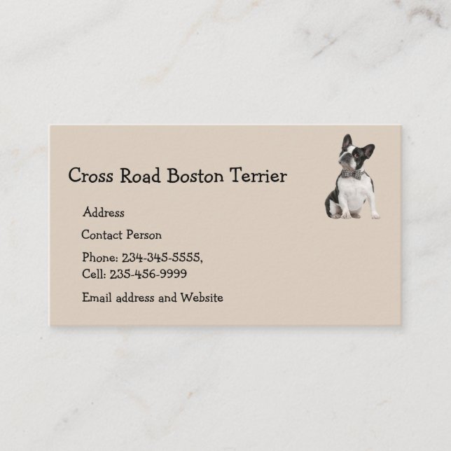 Carte De Visite Boston Terrier Chien animal animal animal animal a (Devant)