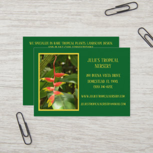 Carte De Visite Botany Green Plante Nursery Plantes tropicaux