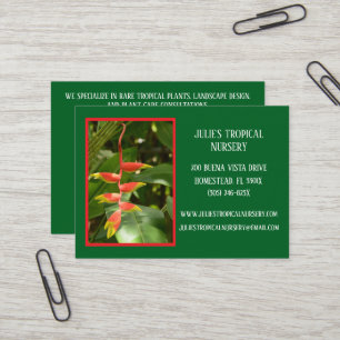 Carte De Visite Botany Green Plante Nursery Plantes tropicaux