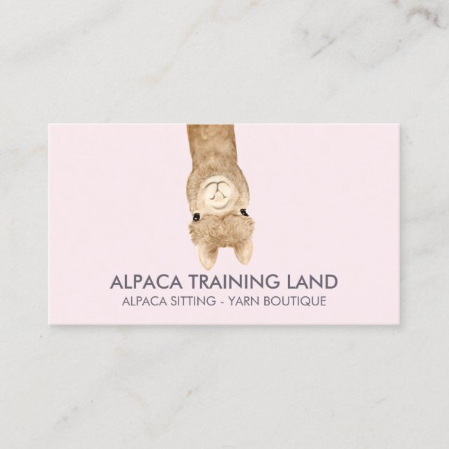Carte De Visite Boutique de l'alpaca mignon (Devant)