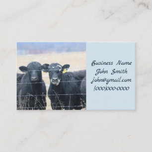 Carte De Visite Bovine Bystanders
