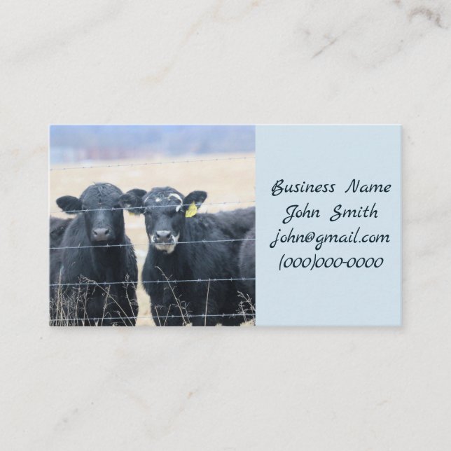Carte De Visite Bovine Bystanders (Devant)