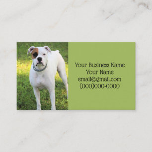 Carte De Visite Boxer