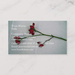 Carte De Visite Branche verte avec de minuscules fruits rouges con