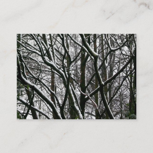 Carte De Visite Branches avec Neige, Mini Photo (Devant)