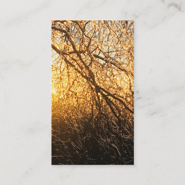 Carte De Visite branches de glace (Devant)