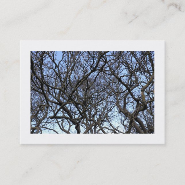 Carte De Visite Branches de l'arbre Magnolia (Bordé) (Devant)