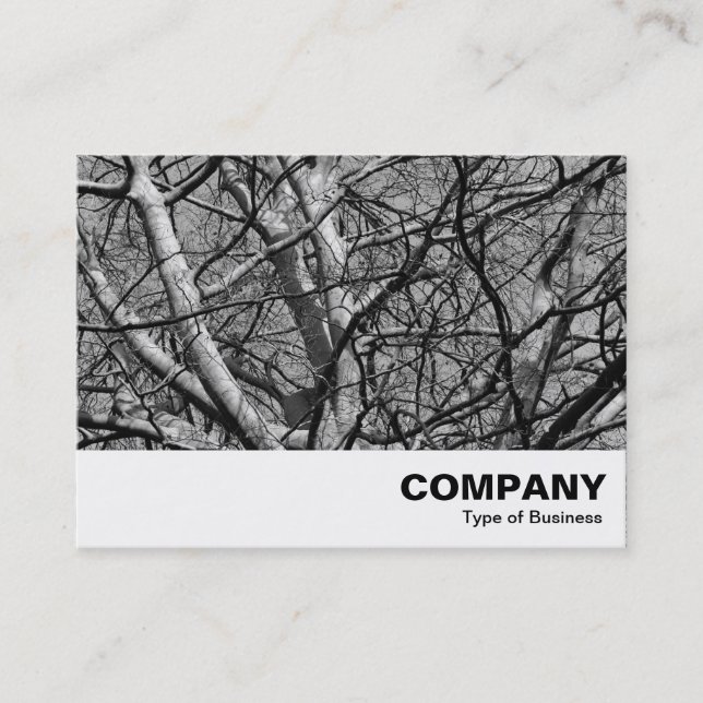 Carte De Visite Branches d'hiver illuminées (B&W) (Devant)