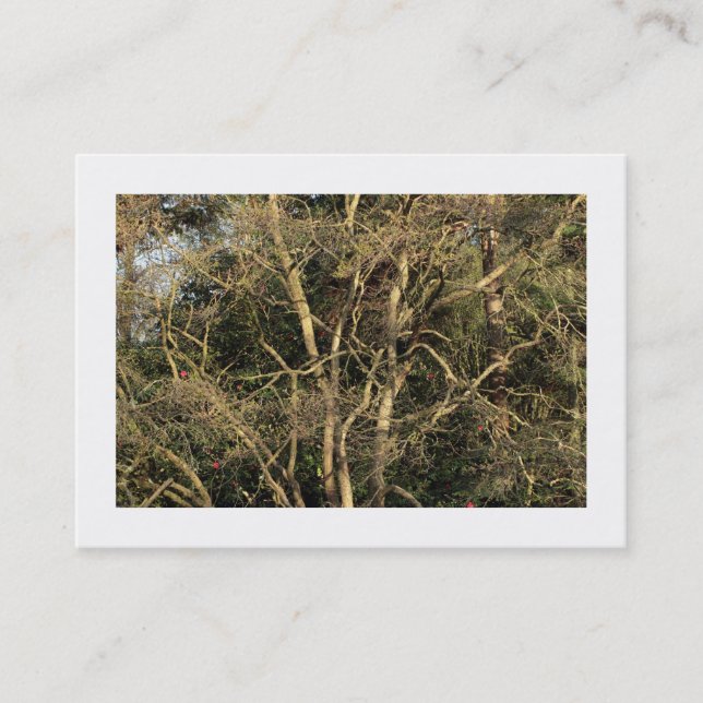 Carte De Visite Branches d'or (Bordé) (Devant)