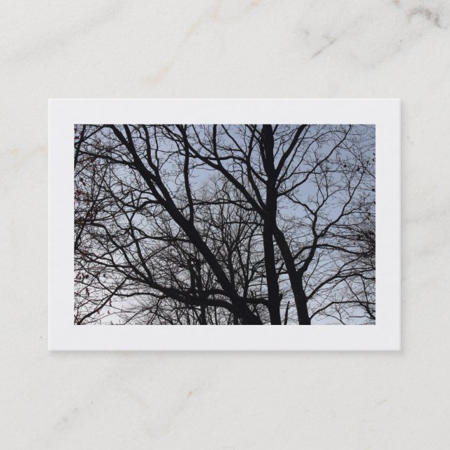 Carte De Visite Branches en Silhouette (Devant)