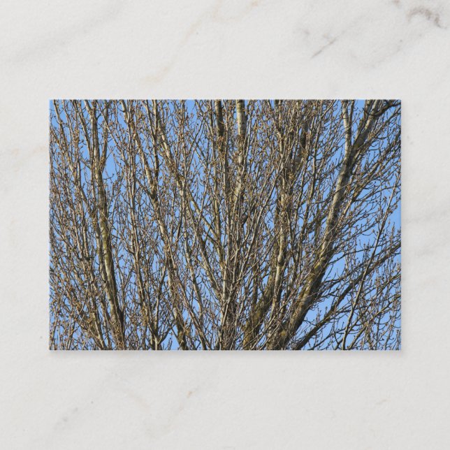 Carte De Visite Branches ensoleillées (Devant)