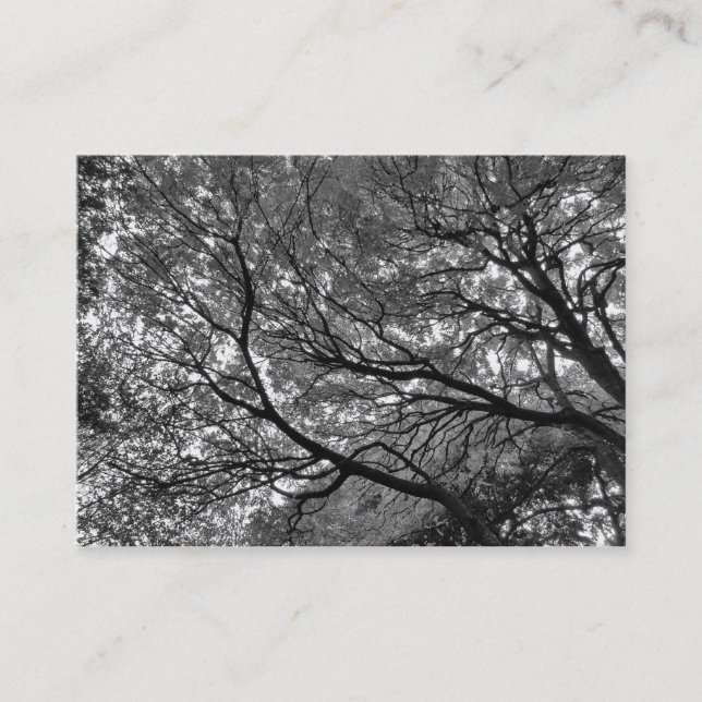 Carte De Visite Branches et Feuilles (Devant)