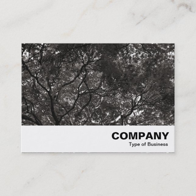 Carte De Visite Branches japonaises 01 (Devant)