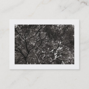 Carte De Visite Branches Japonaises 01 (Avec Bordure)