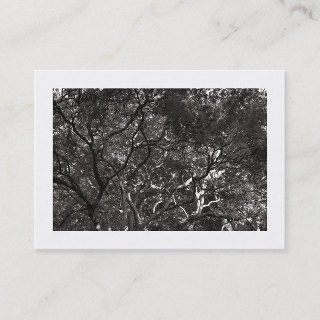 Carte De Visite Branches Japonaises 01 (Avec Bordure) (Devant)