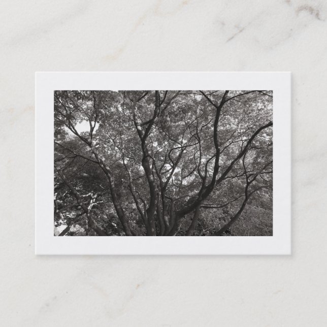 Carte De Visite Branches japonaises 02 (Devant)