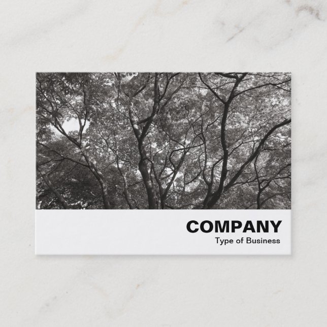 Carte De Visite Branches japonaises 02 (Devant)