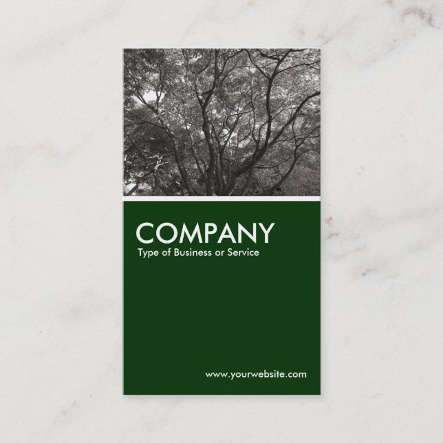 Carte De Visite Branches japonaises 02 - Vert foncé (Devant)