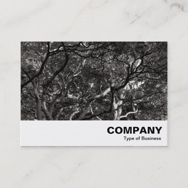 Carte De Visite Branches japonaises 03 (Devant)
