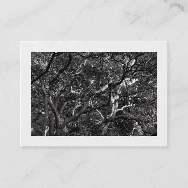Carte De Visite Branches japonaises 03 (frontière) (Devant)