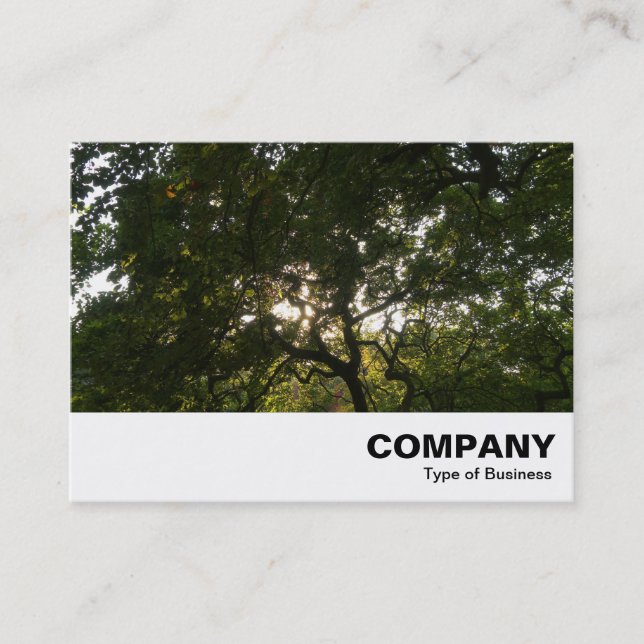 Carte De Visite Branches japonaises 04 (Devant)