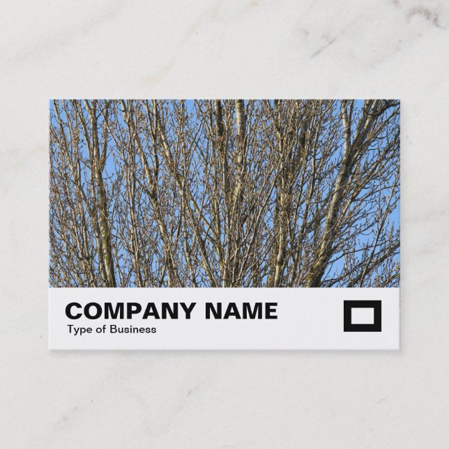 Carte De Visite Branches lumineuses (Devant)