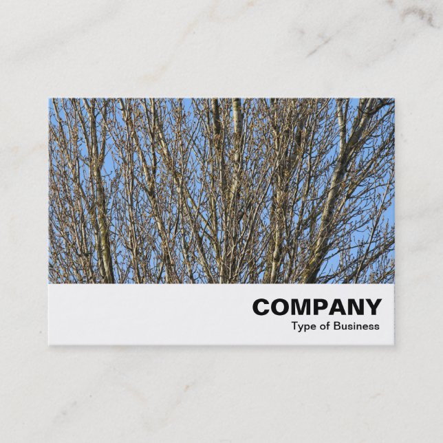 Carte De Visite Branches lumineuses (Devant)