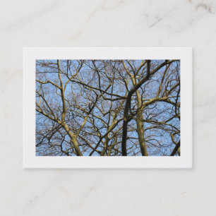 Carte De Visite Branches (ordonnées)