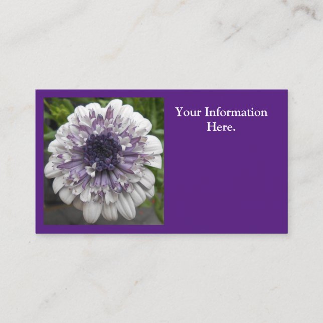 Carte De Visite Brett (Devant)