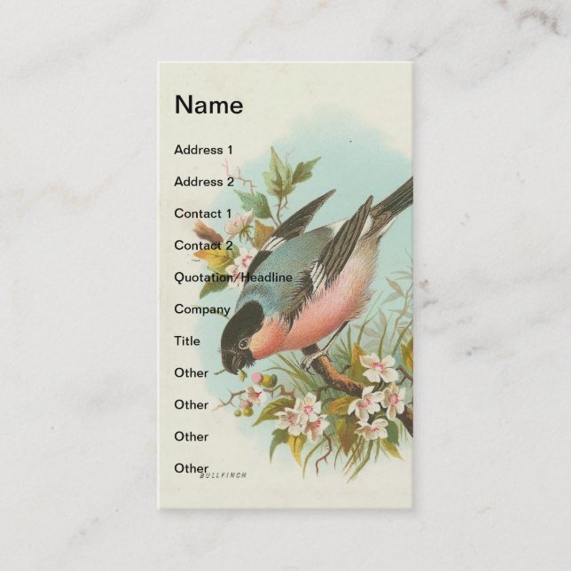 Carte De Visite Bullfinch vintage (Devant)