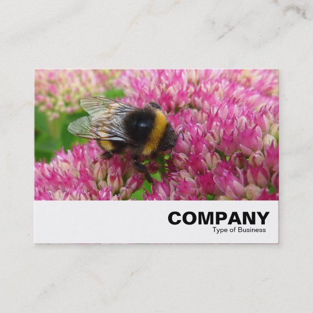 Carte De Visite Bumble Bee sur Sedum (Devant)