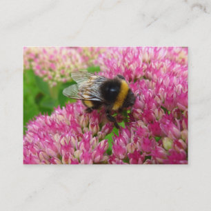 Carte De Visite Bumble Bee sur Sedum