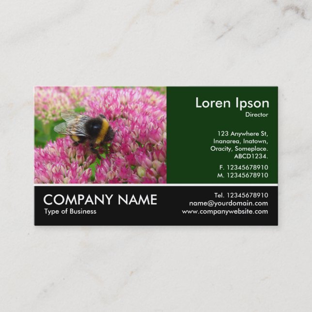 Carte De Visite Bumble Bee sur Sedum (Devant)