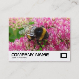 Carte De Visite Bumble Bee sur Sedum