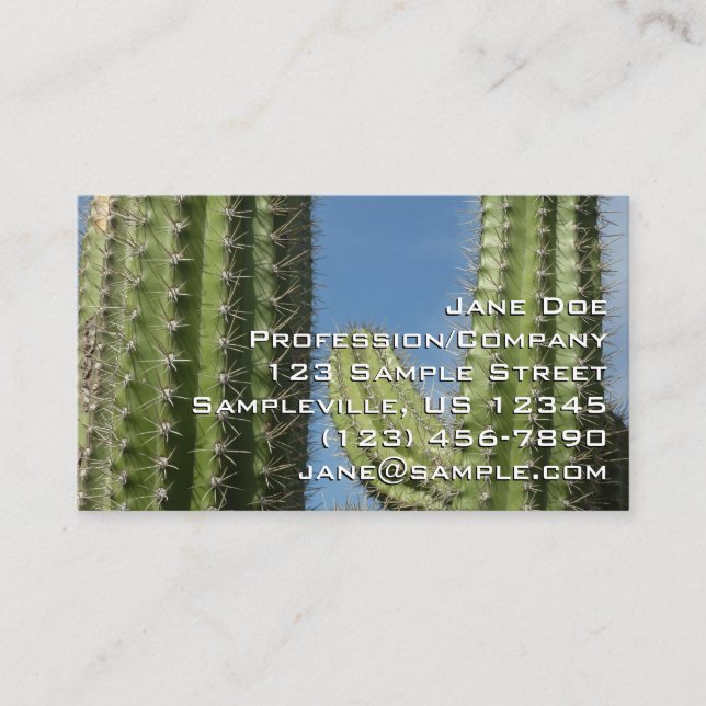 Carte De Visite Cactus à baril I Photo de désert (Devant)