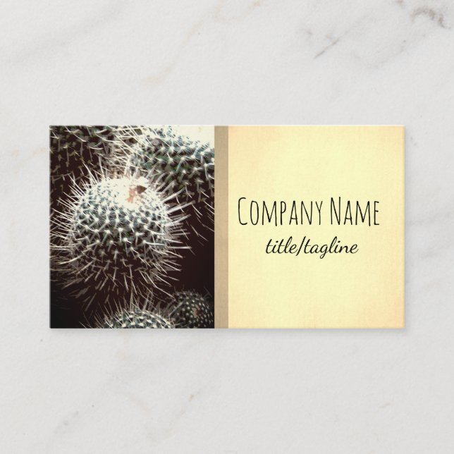 Carte De Visite cactus nature plante sépia double face (Devant)