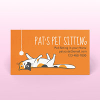 Calico Cat Pet assis | Chat drôle | Protection des