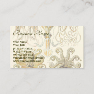 Carte De Visite Calmar vintage Gamochonia de poulpe par Ernst