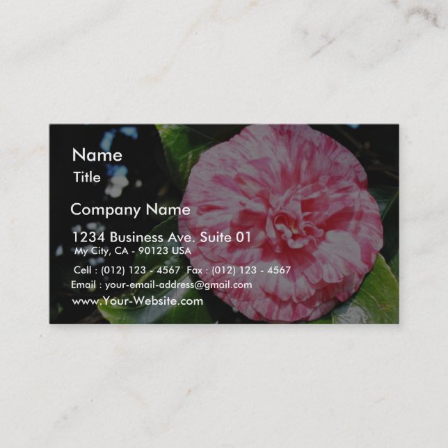 Carte De Visite Camellia (Devant)