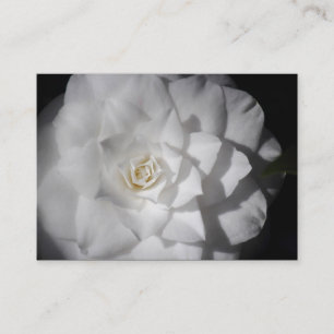 Carte De Visite Camellia blanche