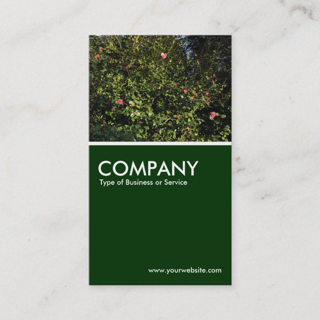 Carte De Visite Camellia Bush - Vert foncé (Devant)
