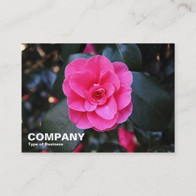 Carte De Visite Camellia rose (Devant)
