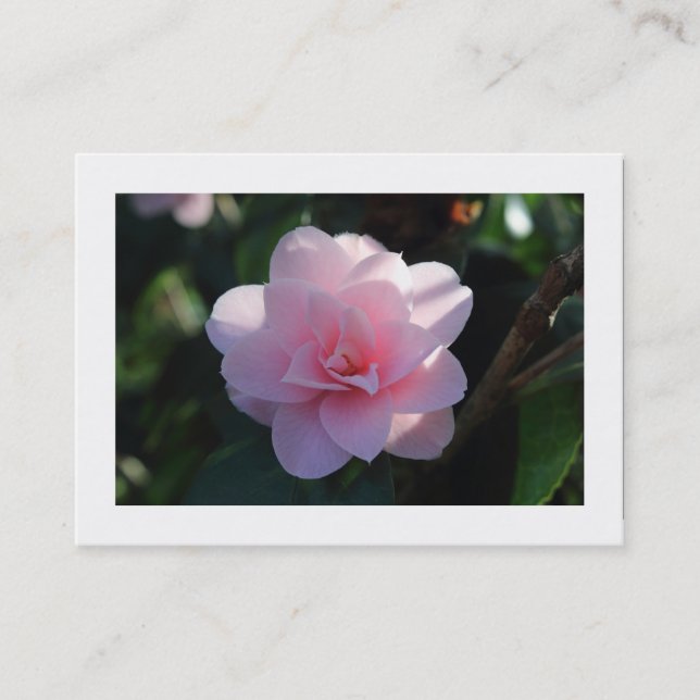 Carte De Visite Camellia Rose (Bordé) (Devant)