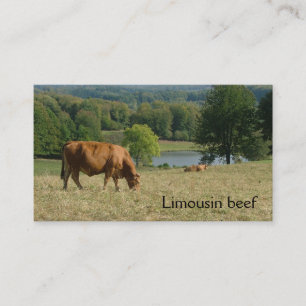 Carte De Visite Campagne française avec des vaches du Limousin