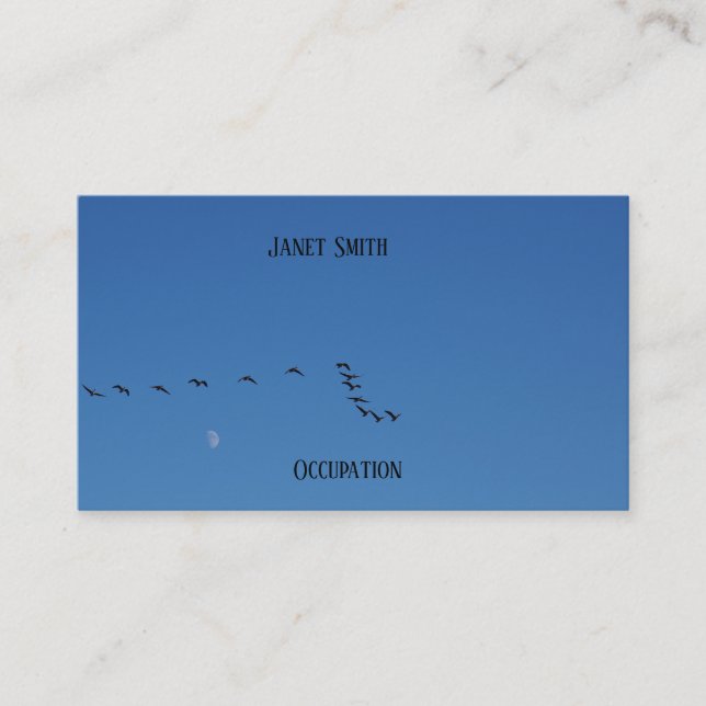 Carte De Visite Canadian geese (Devant)