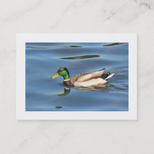 Carte De Visite Canard à colle (Bordé)